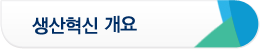 생산혁신 개요